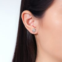 Astra Silver Stern Ohrringe