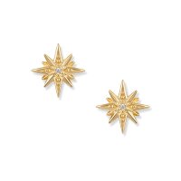 Astra Gold Stern Ohrringe