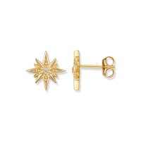 Astra Gold Stern Ohrringe
