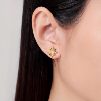 Astra Gold Stern Ohrringe