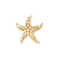 Sully Aqua Seestern Anh&auml;nger