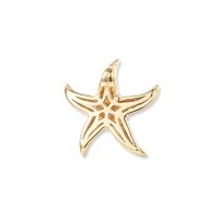 Sully Saphire Seestern Anh&auml;nger