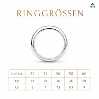 Fernando Pinguin Ring